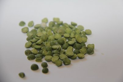 Schalerbse oder Palerbse