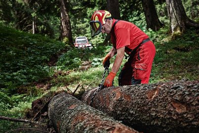 Händische Holzverarbeitung ©BMLRT/Alexander Haiden