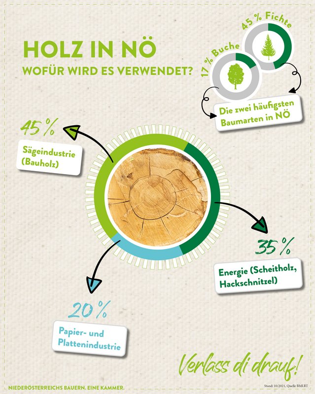 Infografik von Verlass di drauf der Landwirtschaftskammer Niederösterreich zum Thema Holz in Niederösterreich