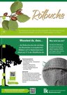 Rotbuche Bauminfotafel