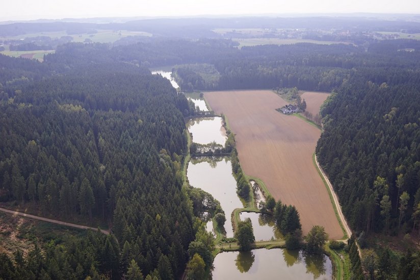 Luftbild Teiche in der Landschaft