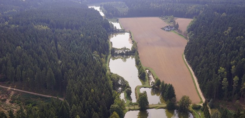 Luftbild Teiche in der Landschaft