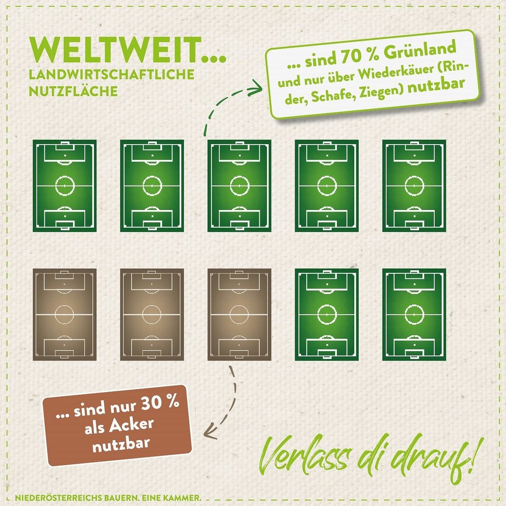 Landwirtschaftliche Nutzfläche anhand von Fußallfeldern erklärt