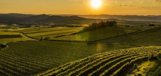 Winzerhof Fam. Dockner Titelbild