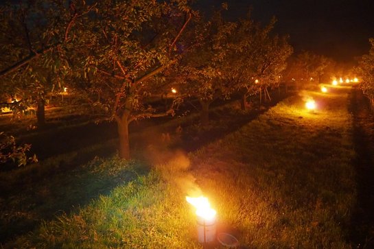 Feuer gegen den Frost ©LK Niederösterreich/Referat Pflanzenbau