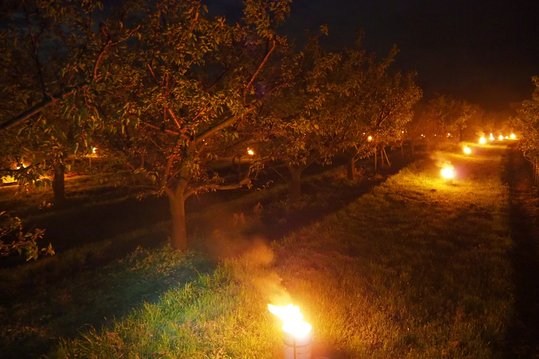 Feuer gegen den Frost ©LK Niederösterreich/Referat Pflanzenbau