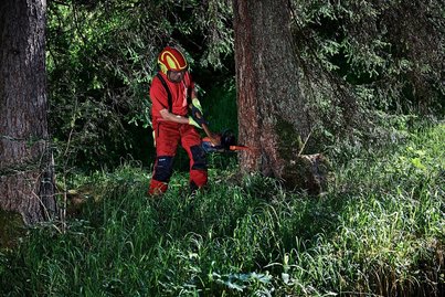 Händische Holzverarbeitung ©BMLRT/Alexander Haiden