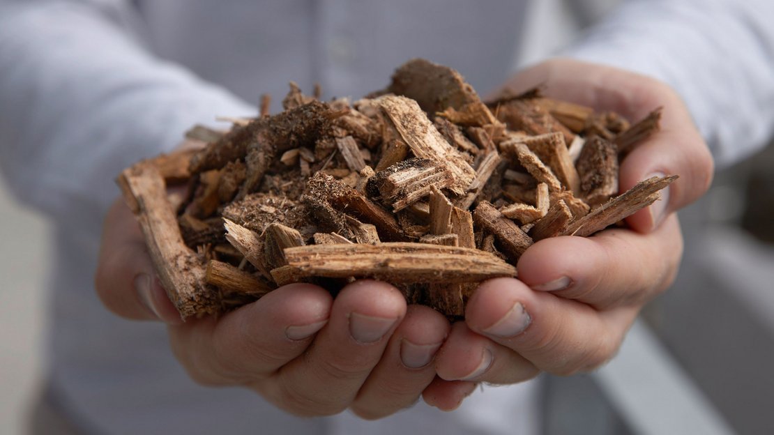 Hackschnitzel ©BMLRT/Alexander Haiden