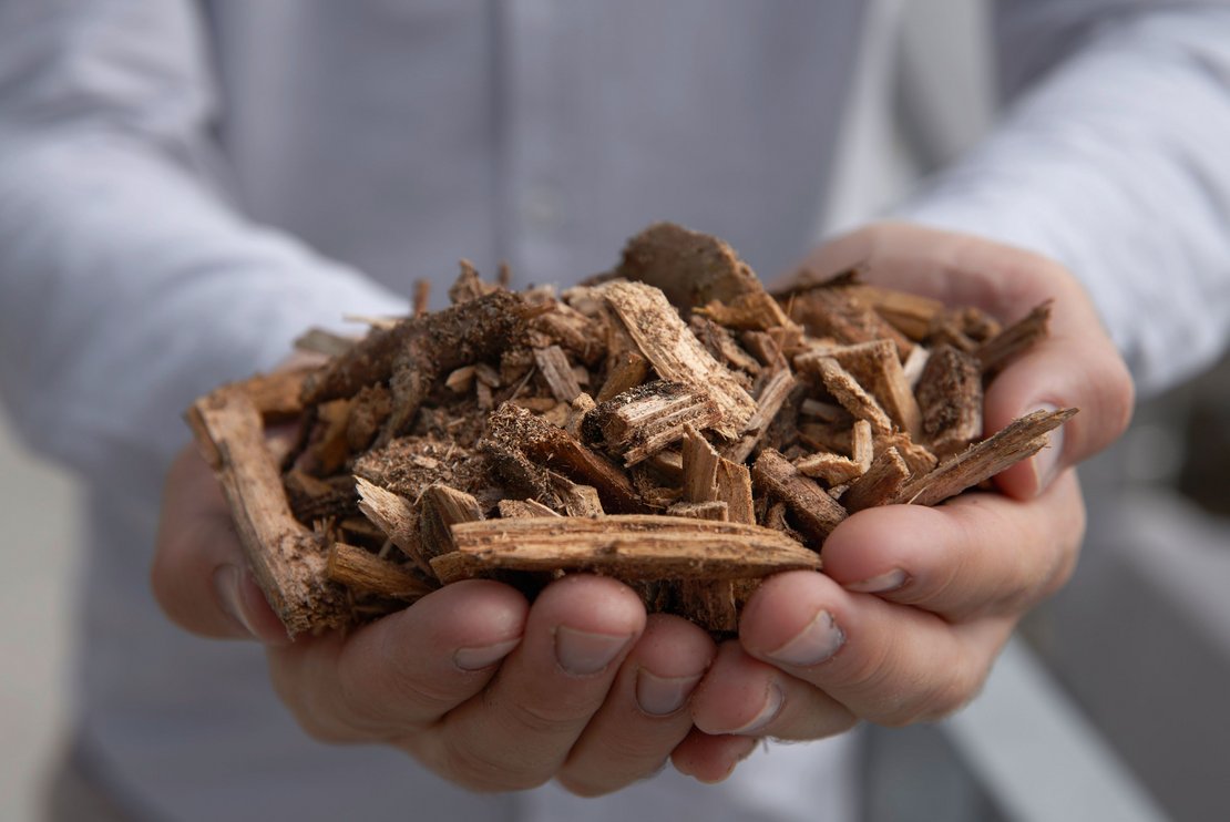 Hackschnitzel ©BMLRT/Alexander Haiden