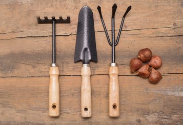 Gartengeräte mit Blumenzwiebeln