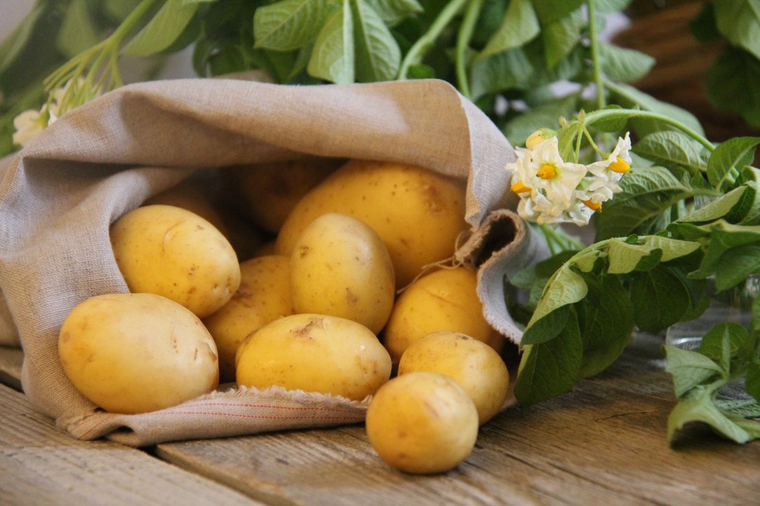 Erdäpfel in Sack mit Blüte ©Elisabeth Heidegger/LK Niederösterreich