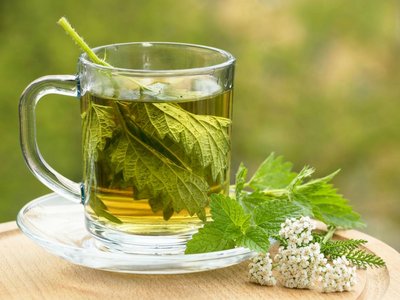 Kräutertee mit Brennnessel, Schafgarbe und Zitronenmelisse