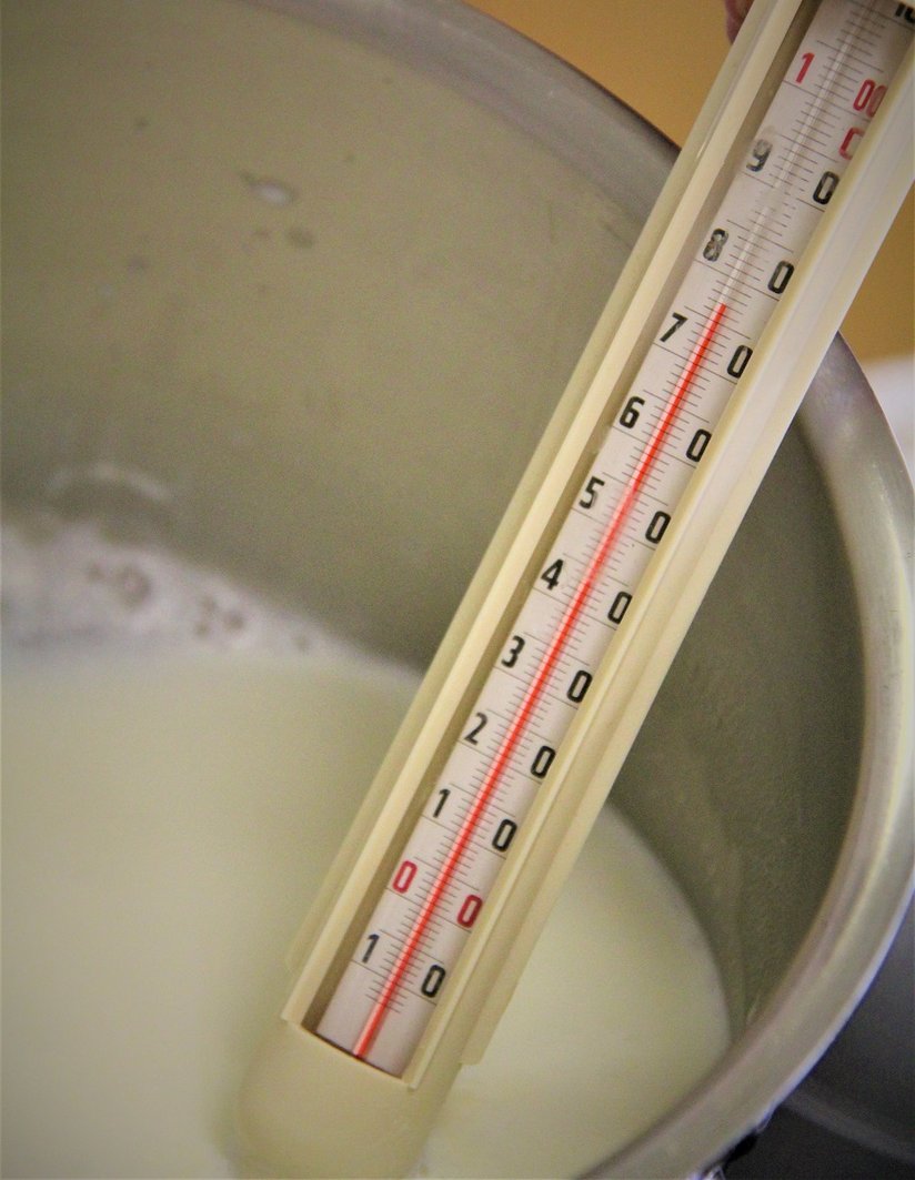 Thermometer in Milch