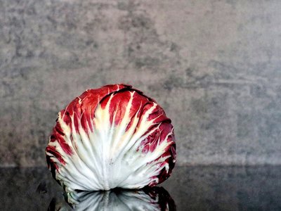 Radicchio