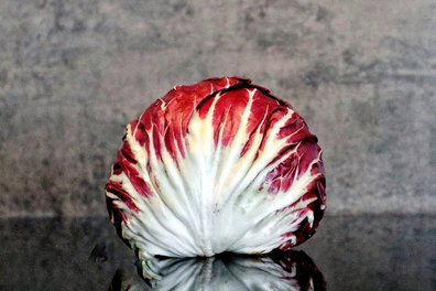 Radicchio