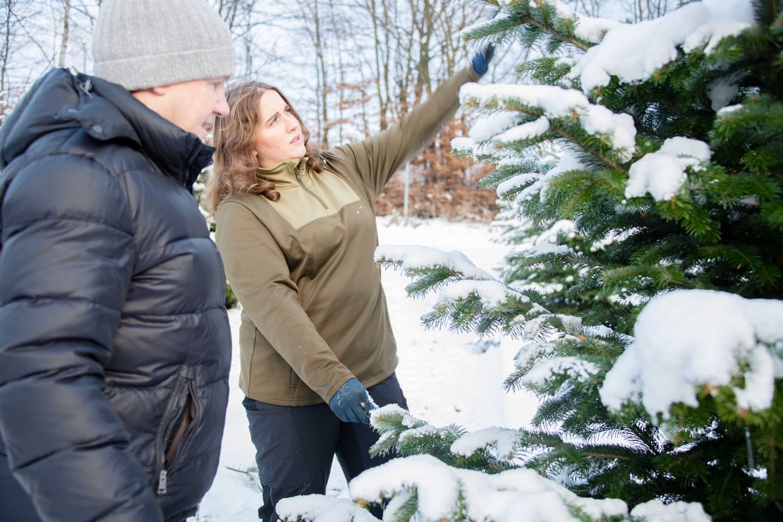 Niederösterreichs Christbaumkönigin Ricarda Reithner beim Verkaufsgespräch mit einem Kunden in der Christbaumkultur.