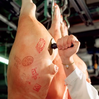 Schweinefleisch bekommt nach Kontrolle vom toten Tier AMA-Gütesiegel stempel ©AMA Marketing