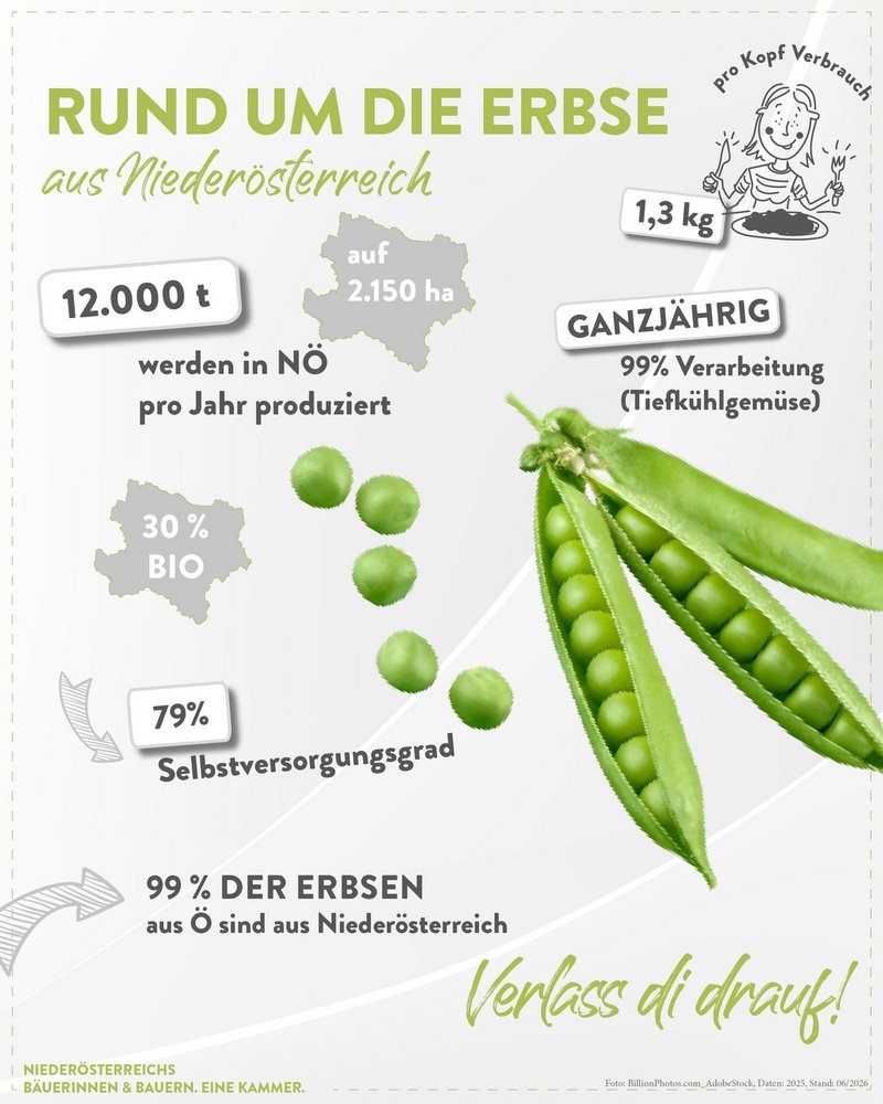 Infografik der Landwirtschaftskammer Niederösterreich zu Erbsenreichtum in Niederösterreich