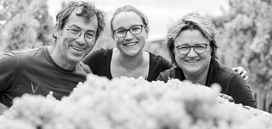 Weinbau Zechmeister Titelbild