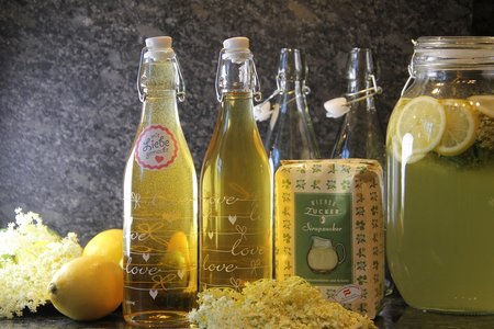 Die Dolden mit dem überkühlten Zuckerwasser übergießen und zwei Tage an einem kühlen Ort stehen lassen.