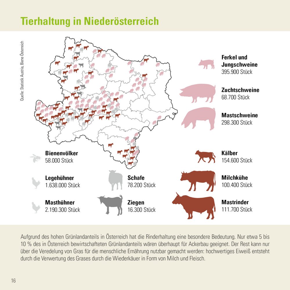 Infografik von Verlass di drauf der Landwirtschaftskammer Niederösterreich zum Viehbestand in Niederösterreich