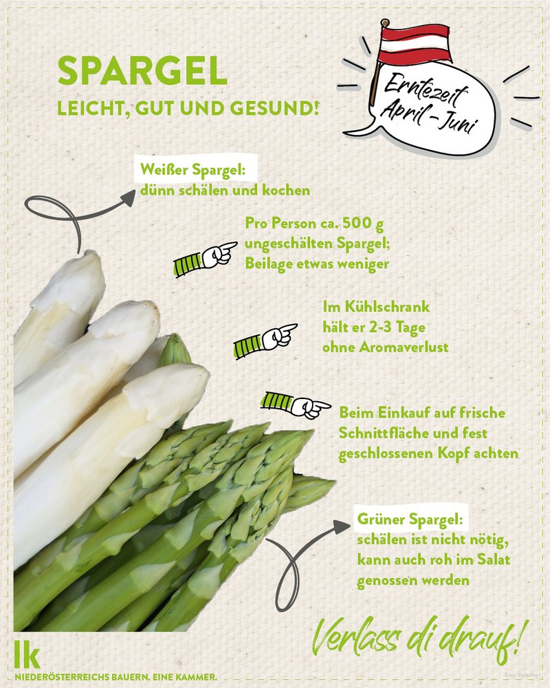 Infografik von Verlass di drauf der Landwirtschaftskammer Niederösterreich zu Spargel