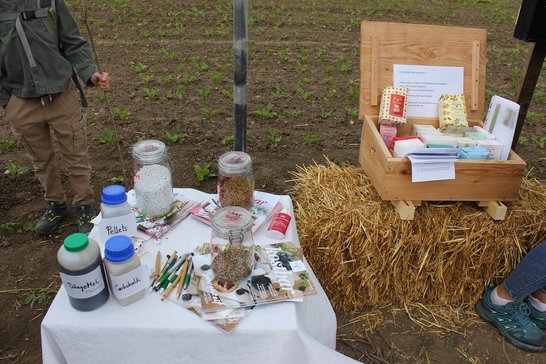 Station Zuckerrübe ©Die Bäuerinnen im Gebiet Schwechat