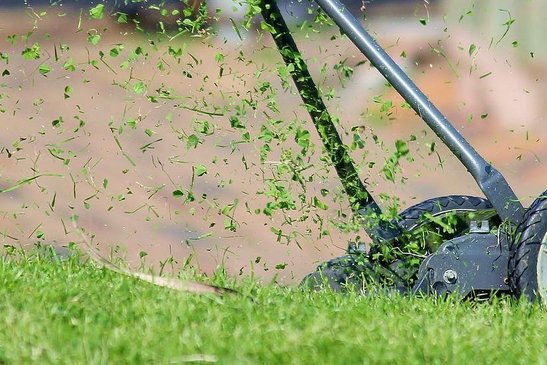 Wenn du Gemüsebeete mit Rasenschnitt mulchst, dann bleibt der Boden länger feucht. ©pixabay