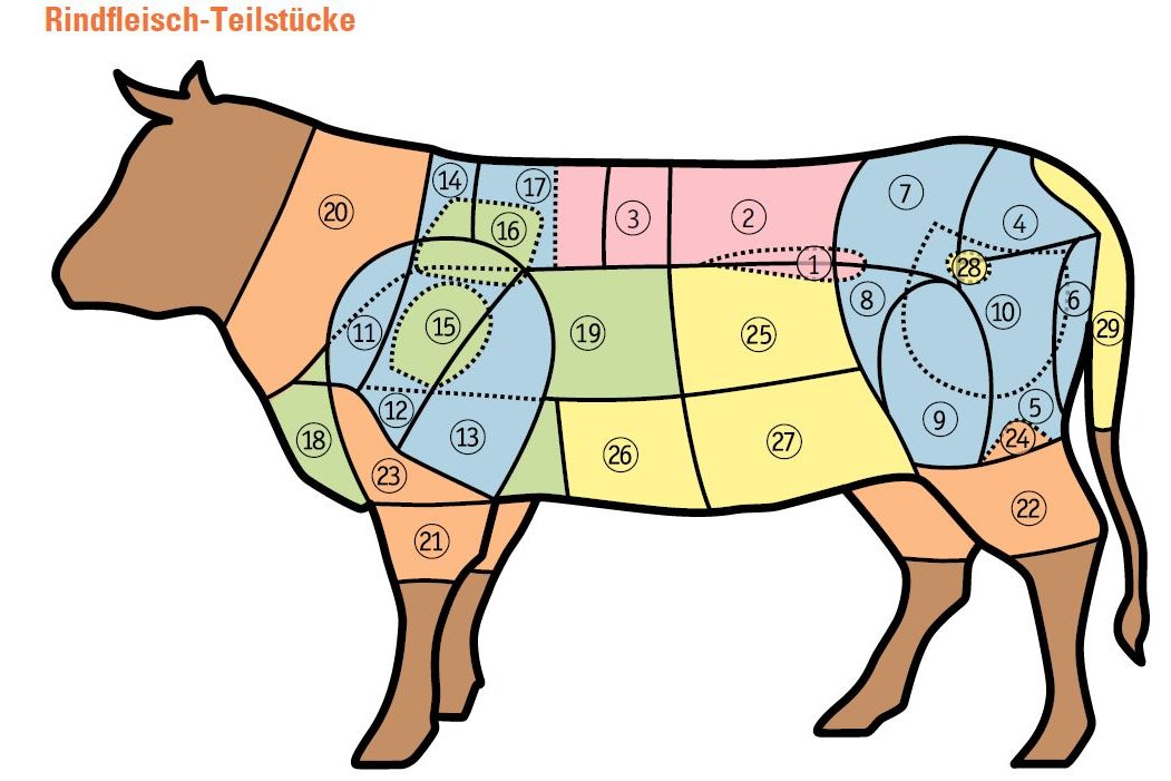 Fleischteile Übersicht aus Rezeptbroschüre Rindfleisch