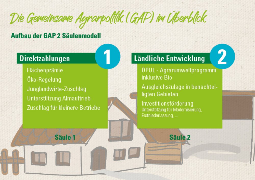 Infografik von Verlass di drauf der Landwirtschaftskammer Niederösterreich zur Gemeinsamen Agrarpolitik