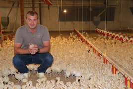 Am Putenbetrieb Hipp werden die Küken mit Liebe großgezogen. ©Paula Pöchlauer-Kozel/LK Niederösterreich