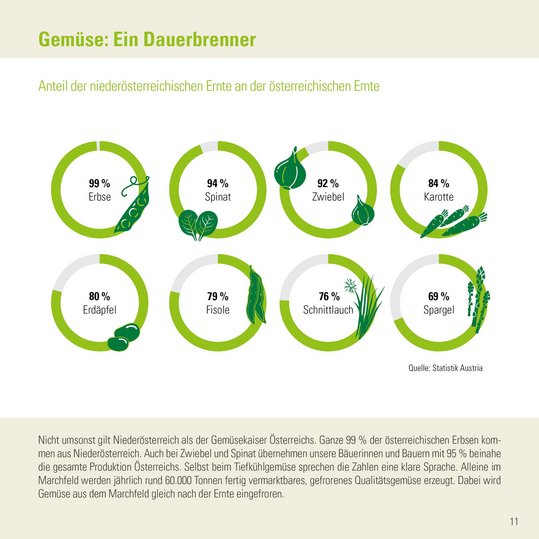 Infografik der Zahlen-Daten-Broschüre der Landwirtschaftskammer Niederösterreich zu Gemüse