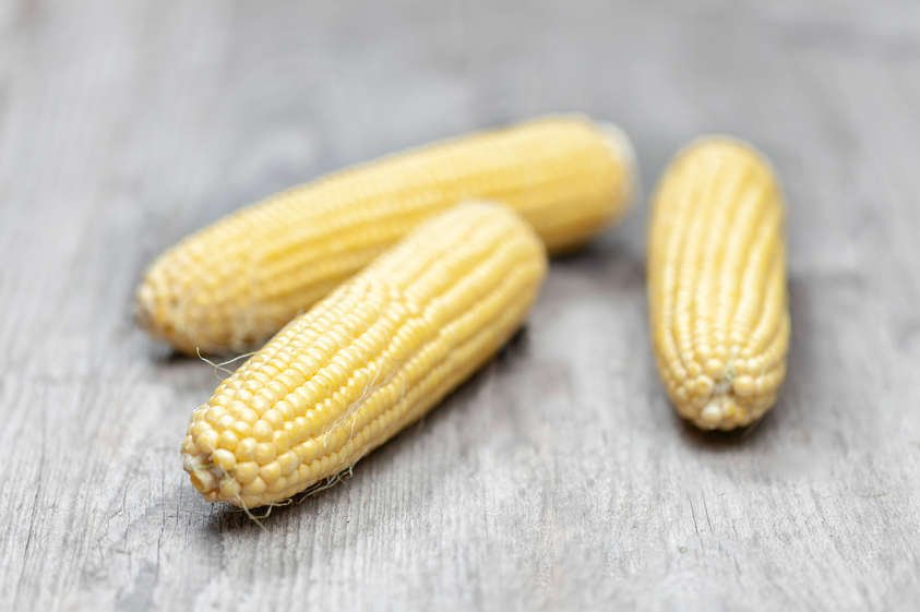 Drei Kolben Zuckermais liegen auf dem Holztisch