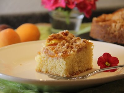 Du brauchst eine Idee für die Kaffeejause am Nachmittag? Dann ist der Obstkuchen genau das Richtige: schnell und einfach zubereitet mit besten Zutaten – und einfach ein himmlischer Genuss. ©Elisabeth Heidegger/LK Niederösterreich