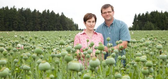 Mohnhof Greßl Titelbild