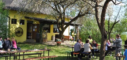 Heuriger Mayer-Hörmann Titelbild