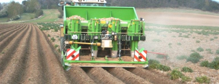 Erdäpfel legen ©Pflanzenbau/LK Niederösterreich