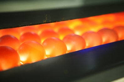 Eier unter Dektoren ©AMA Marketing