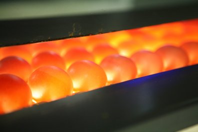 Eier unter Dektoren ©AMA Marketing