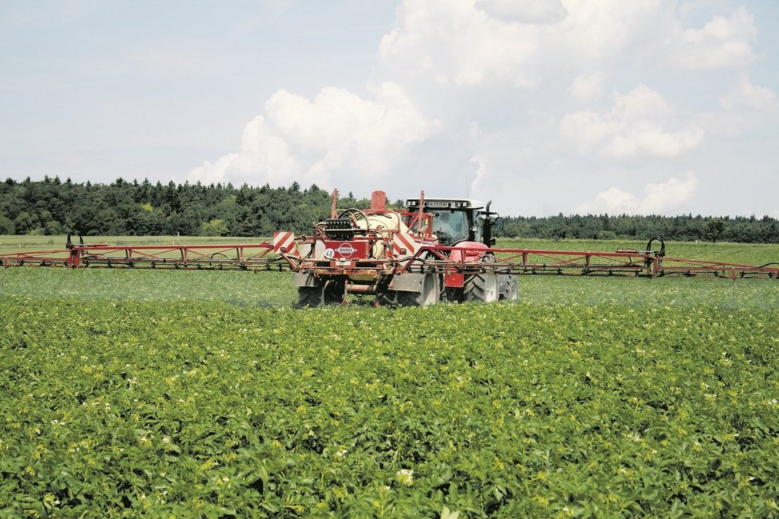 Pflanzenschutz in Kartoffeln