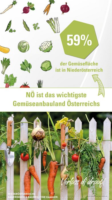 Anteil Gemüsefläche Niederösterreich an Österreichischer Produktion