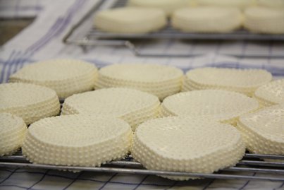 Wenn die überschüssige Molke austritt, sinkt der Käse zusammen. Hat er die richtige Konsistenz erreicht, wird er aus den Formen gegeben. ©Elisabeth Heidegger/LK Niederösterreich
