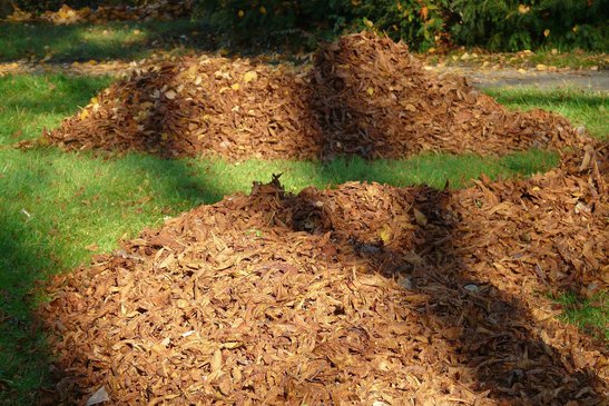 Laubhaufen ©pixabay