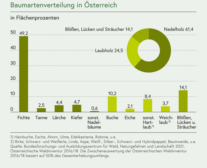 Baumartenverteilung in Flächenprozent ©Zahlen und Fakten 2021/BMLRT