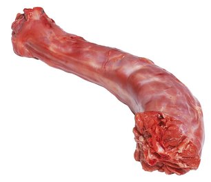 Kragen von der Pute ©AMA Marketing