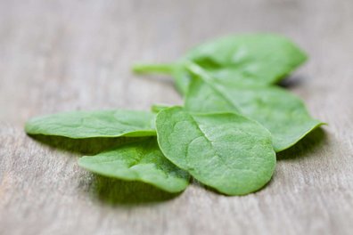 Einige Spinatblätter liegen auf einem Holztisch