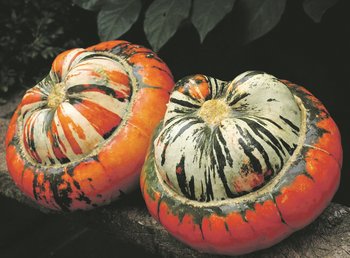 ©R_K_B_by_SarahC./pixelio.de