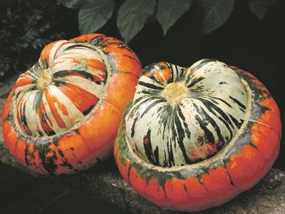 ©R_K_B_by_SarahC./pixelio.de