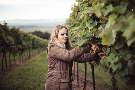 Weinkönigin Sophie Hromatka im Weingarten mit Weintrauben