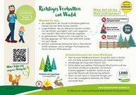 Druckvorlage Wald.jpg